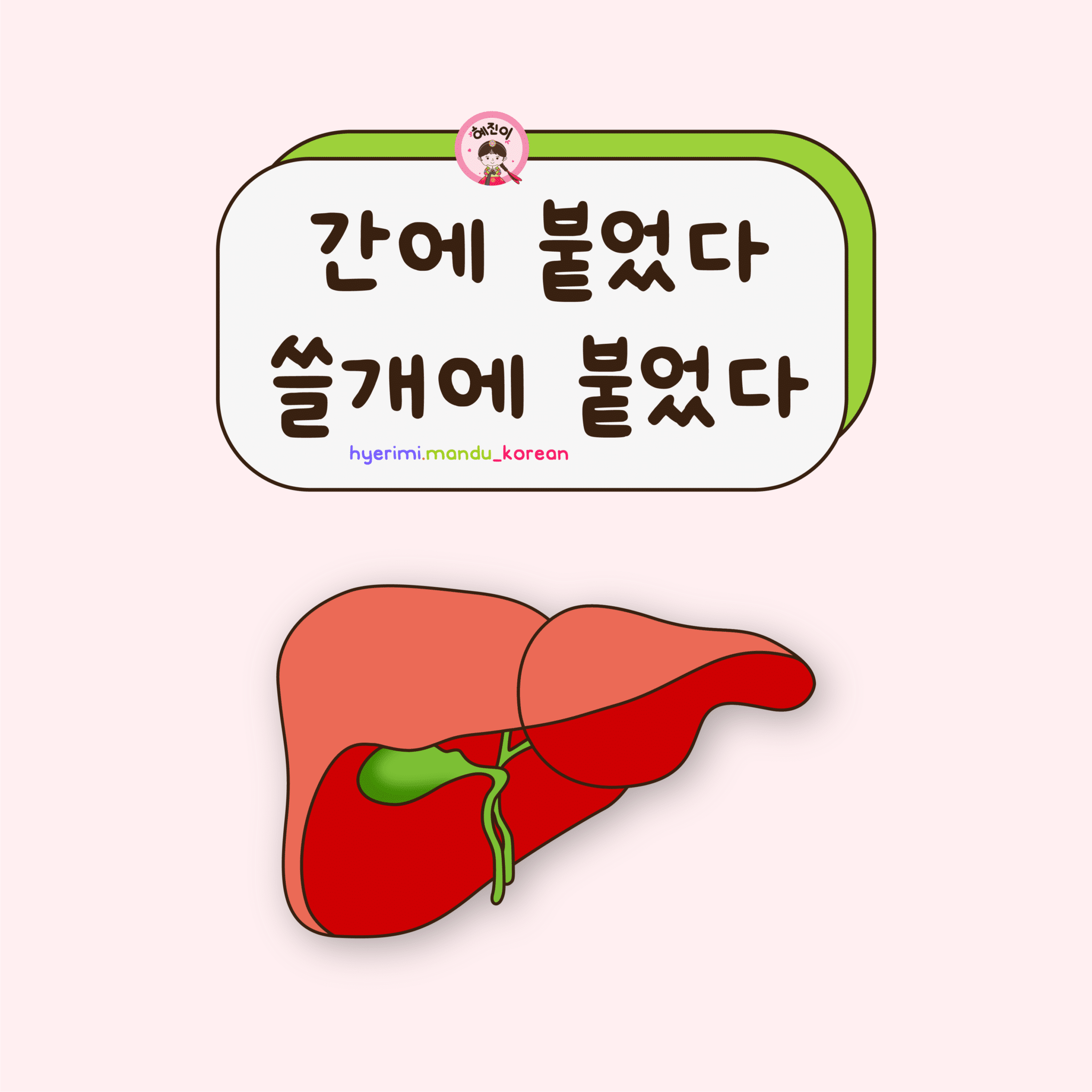 6. 간에 붙었다 쓸개에 붙었다 (5 hình)